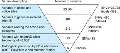 Revealing Chronic Granulomatous Disease in a Patient With Williams-Beuren Syndrome Using Whole Exome Sequencing